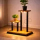 Light__Owesco